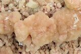Pink-Peach Stilbite and Calcite Crystal Association - India #176837-2